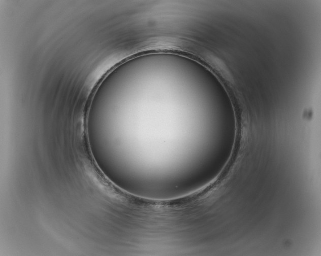 X0000111781226200907301113