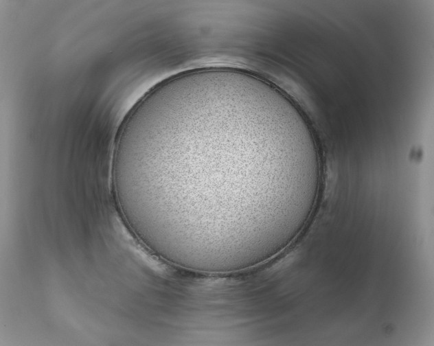 X0000111781228200907301113
