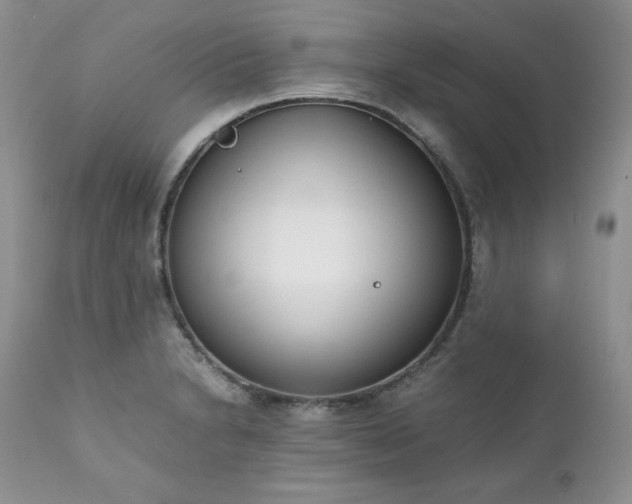 X0000111781230200907301113