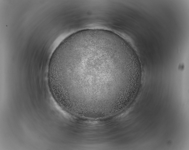 X0000111781231200907301113
