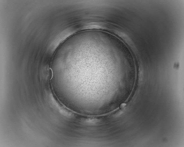 X0000111781233200907301113