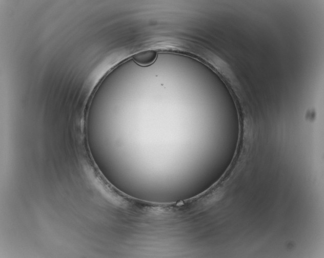 X0000111781234200907301113
