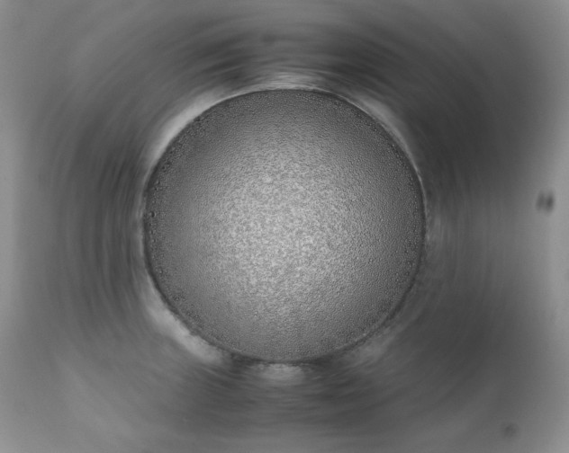 X0000111781235200907301113