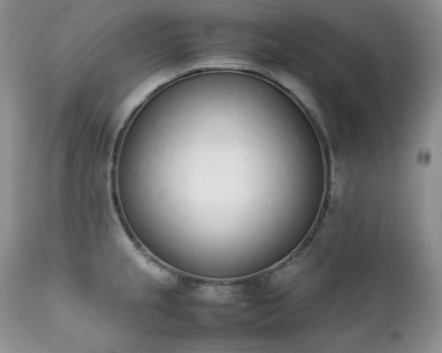 X0000111781237200907301113
