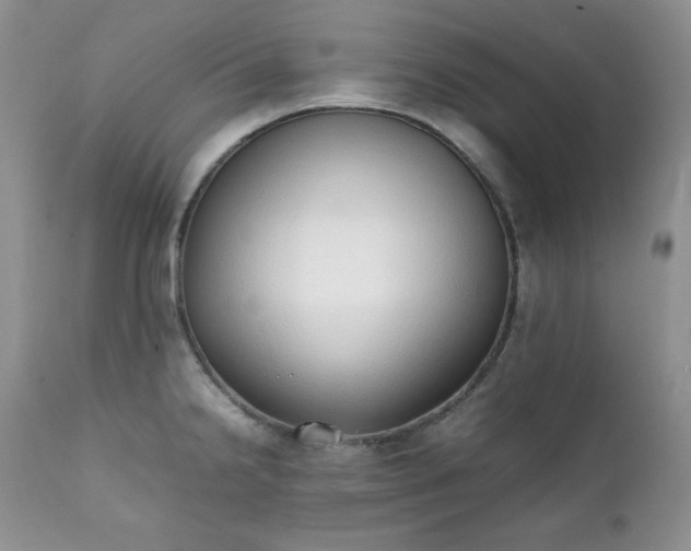 X0000111781238200907301113