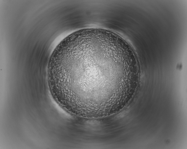 X0000111781239200907301113