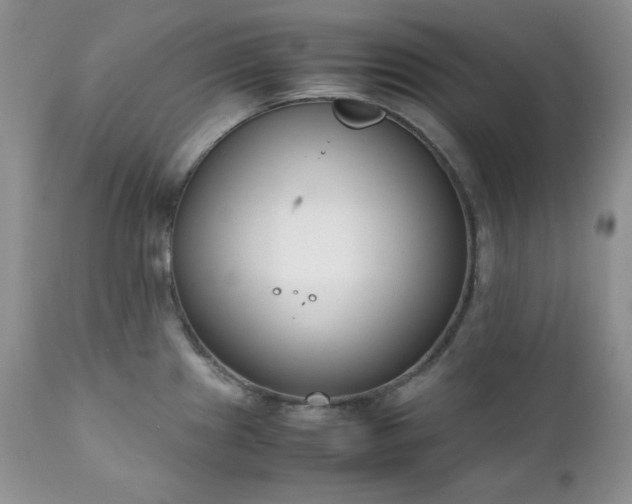 X0000111781241200907301113