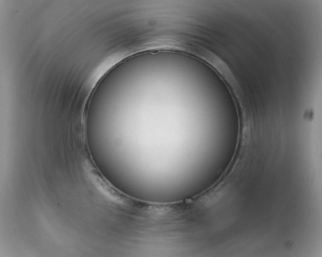 X0000111781242200907301113