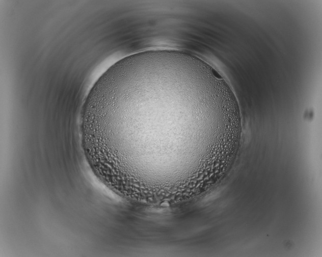 X0000111781243200907301113