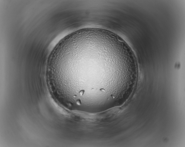 X0000111781245200907301113
