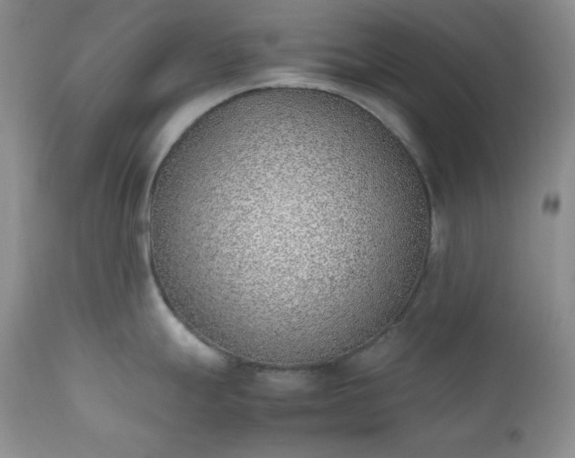 X0000111781247200907301113