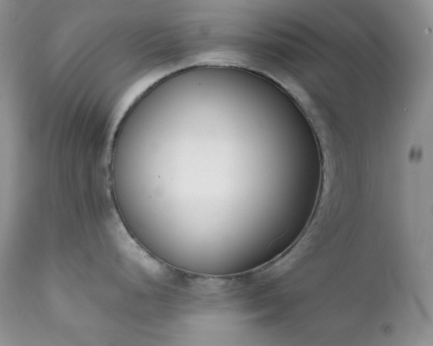 X0000111781248200907301113