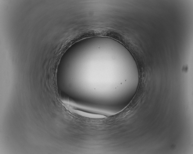X0000111781249200907301112