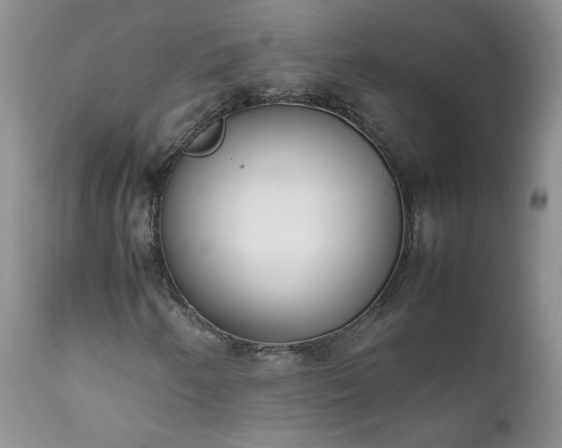 X0000111781250200907301112