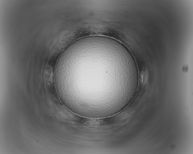 X0000111781251200907301112