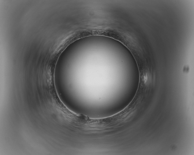 X0000111781252200907301112