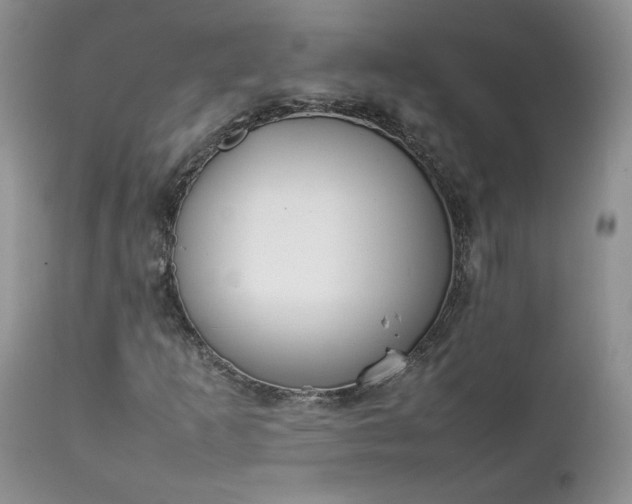 X0000111781253200907301112