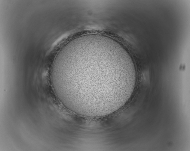 X0000111781254200907301112