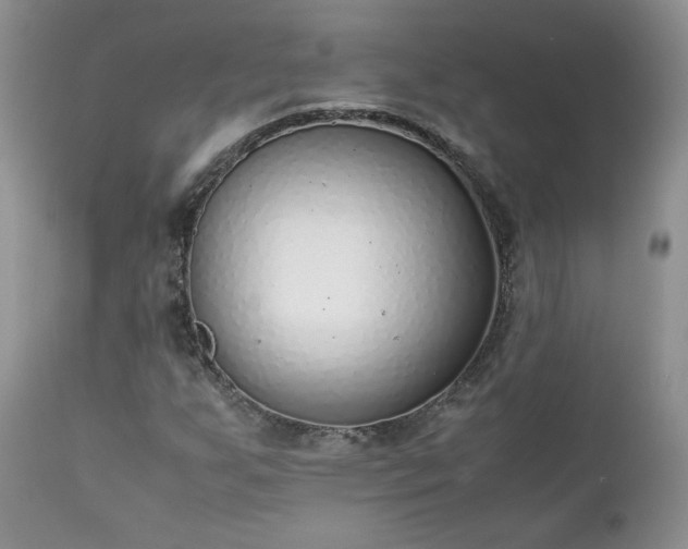 X0000111781255200907301112