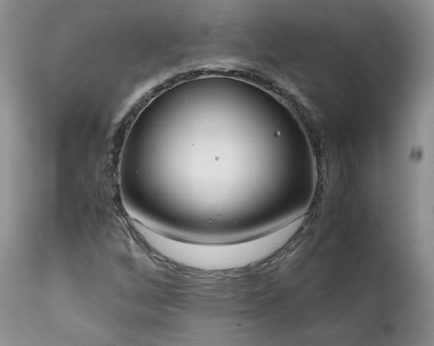 X0000111781256200907301112