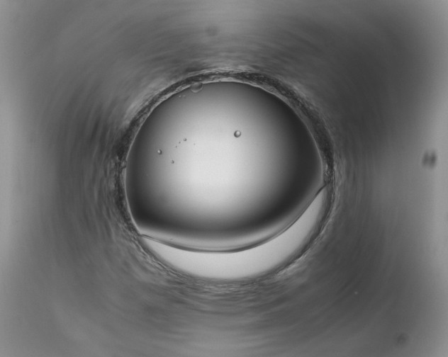 X0000111781257200907301112