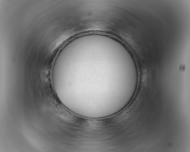 X0000111781258200907301112