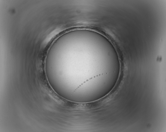 X0000111781259200907301112
