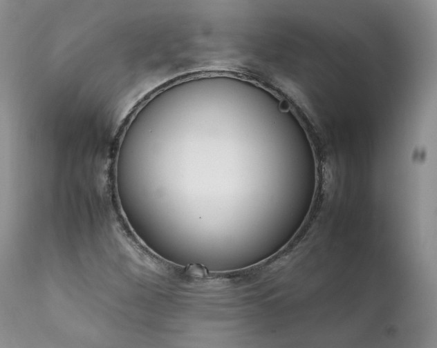 X0000111781260200907301112