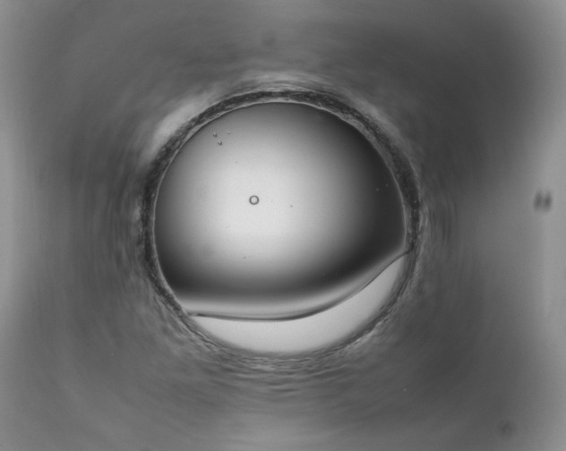 X0000111781261200907301112