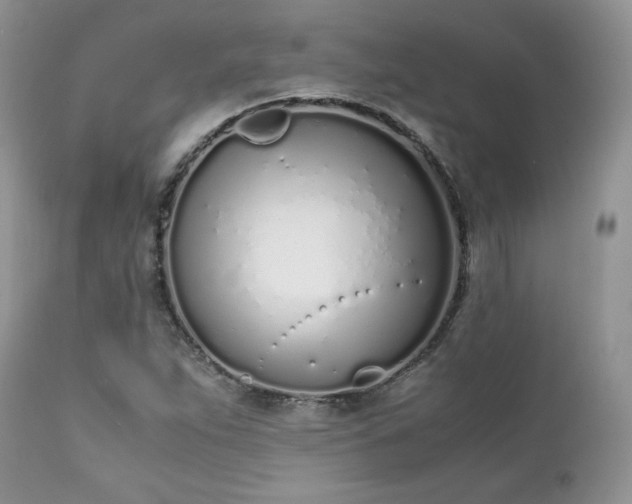 X0000111781263200907301112