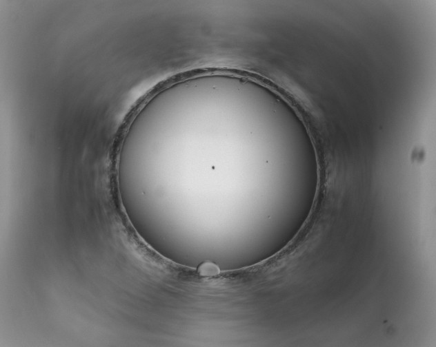 X0000111781264200907301112