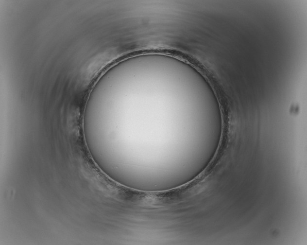 X0000111781265200907301112