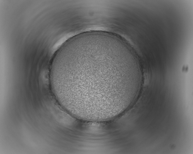 X0000111781266200907301112