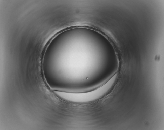 X0000111781268200907301112