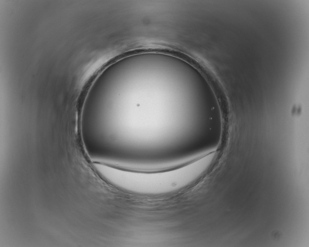 X0000111781269200907301112