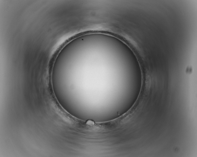 X0000111781270200907301112