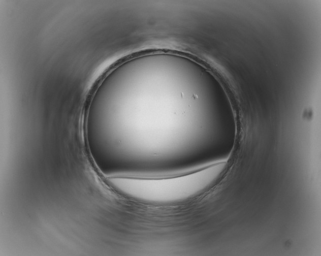X0000111781272200907301112