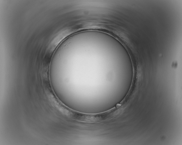 X0000111781273200907301112