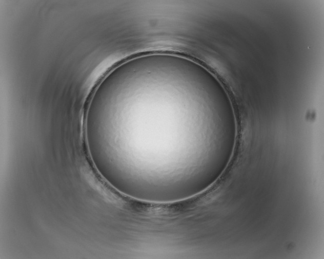 X0000111781275200907301112