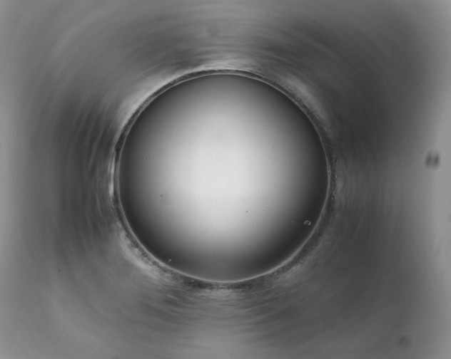 X0000111781276200907301112