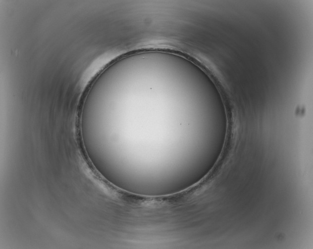 X0000111781277200907301112