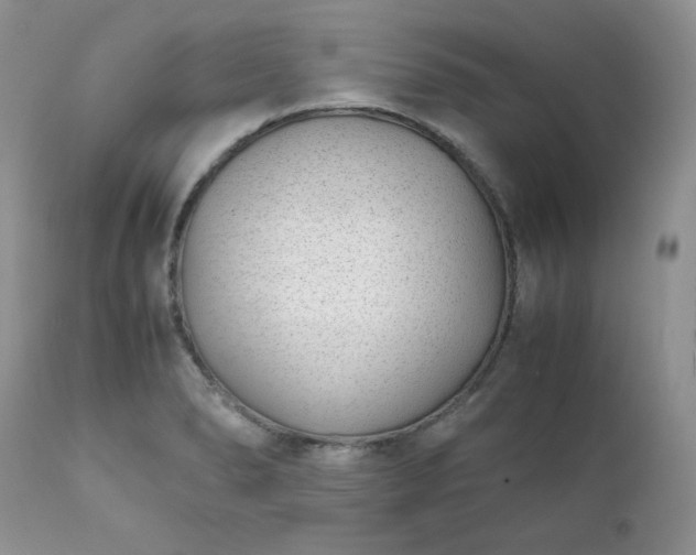 X0000111781278200907301112
