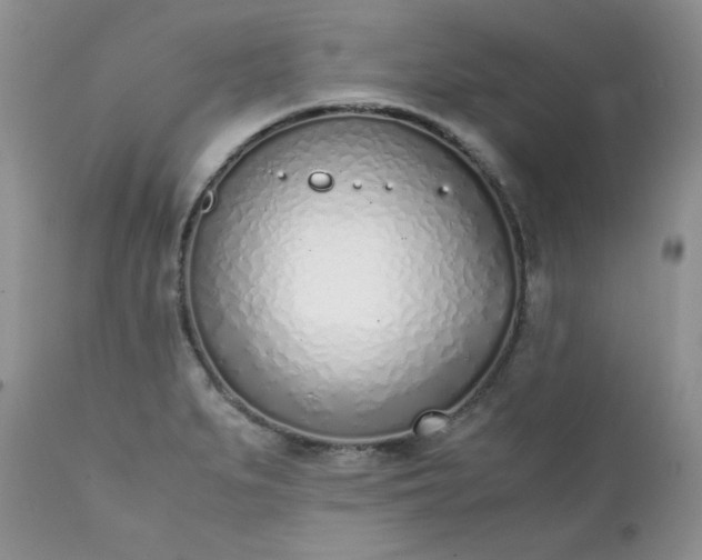 X0000111781279200907301112