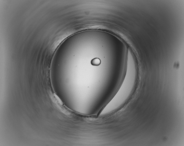 X0000111781281200907301112