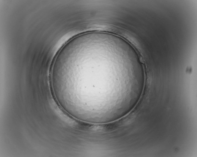 X0000111781283200907301112