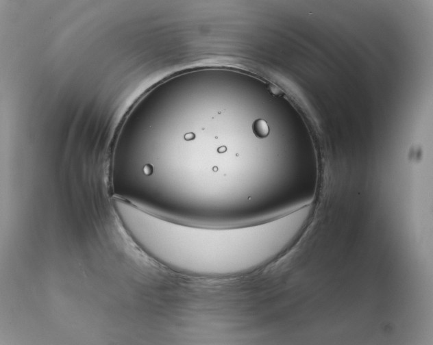 X0000111781284200907301112