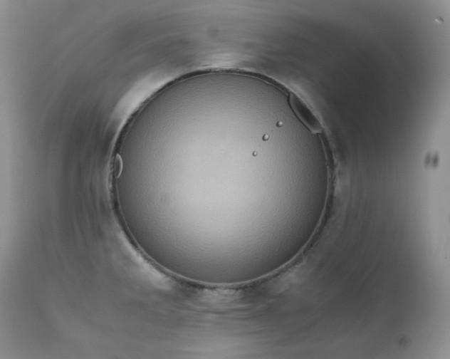 X0000111781285200907301112