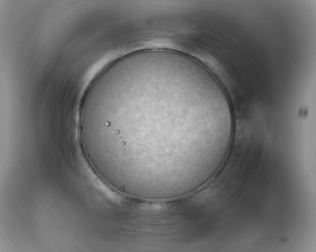 X0000111781286200907301112