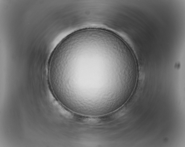 X0000111781287200907301112