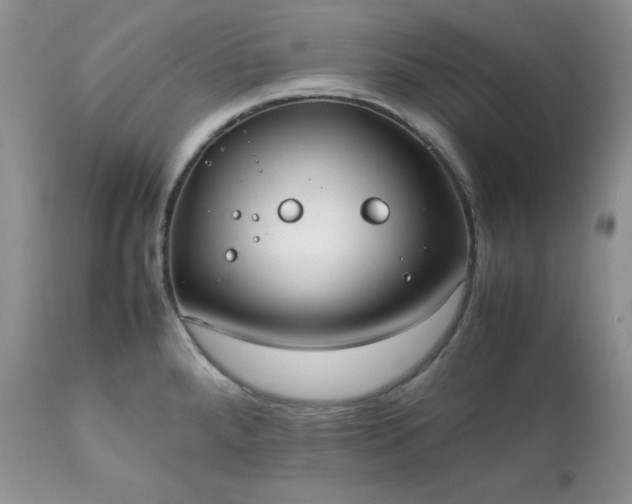 X0000111781288200907301112